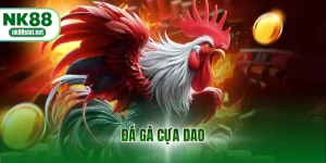 Đá gà cựa dao
