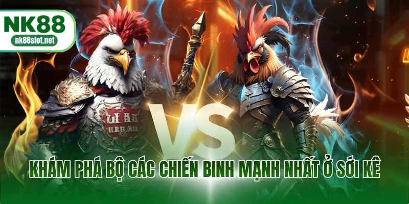 Khám phá bộ các chiến binh mạnh nhất ở sới kê